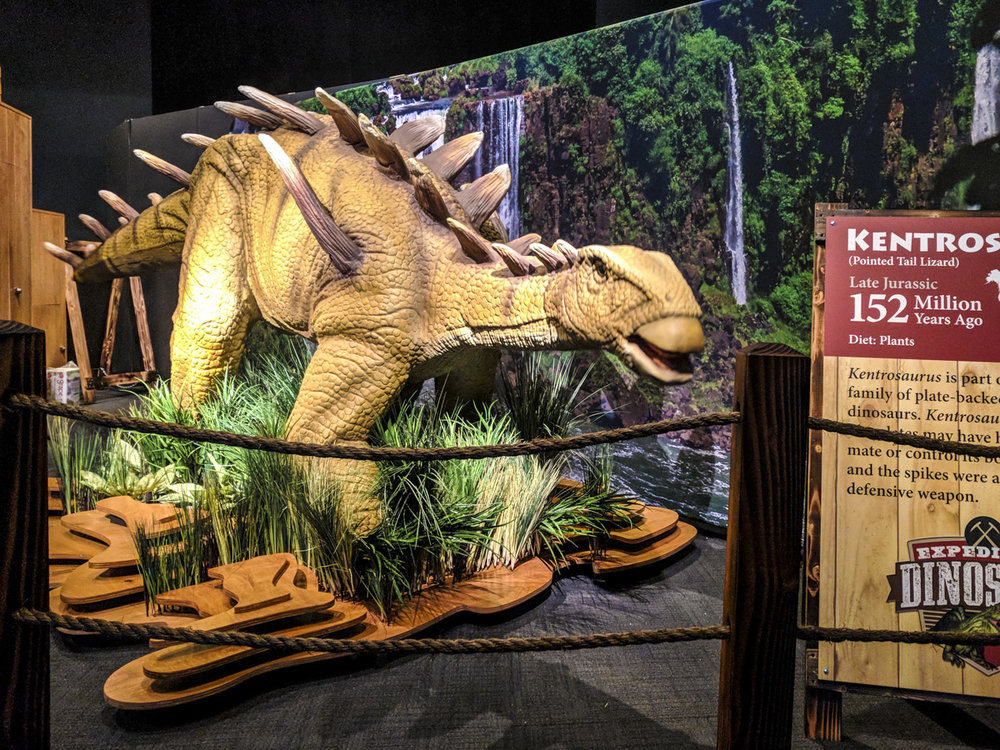 Lifesize, Moving, High-Quality animatronic Dinosaur Indoor Exhibition 