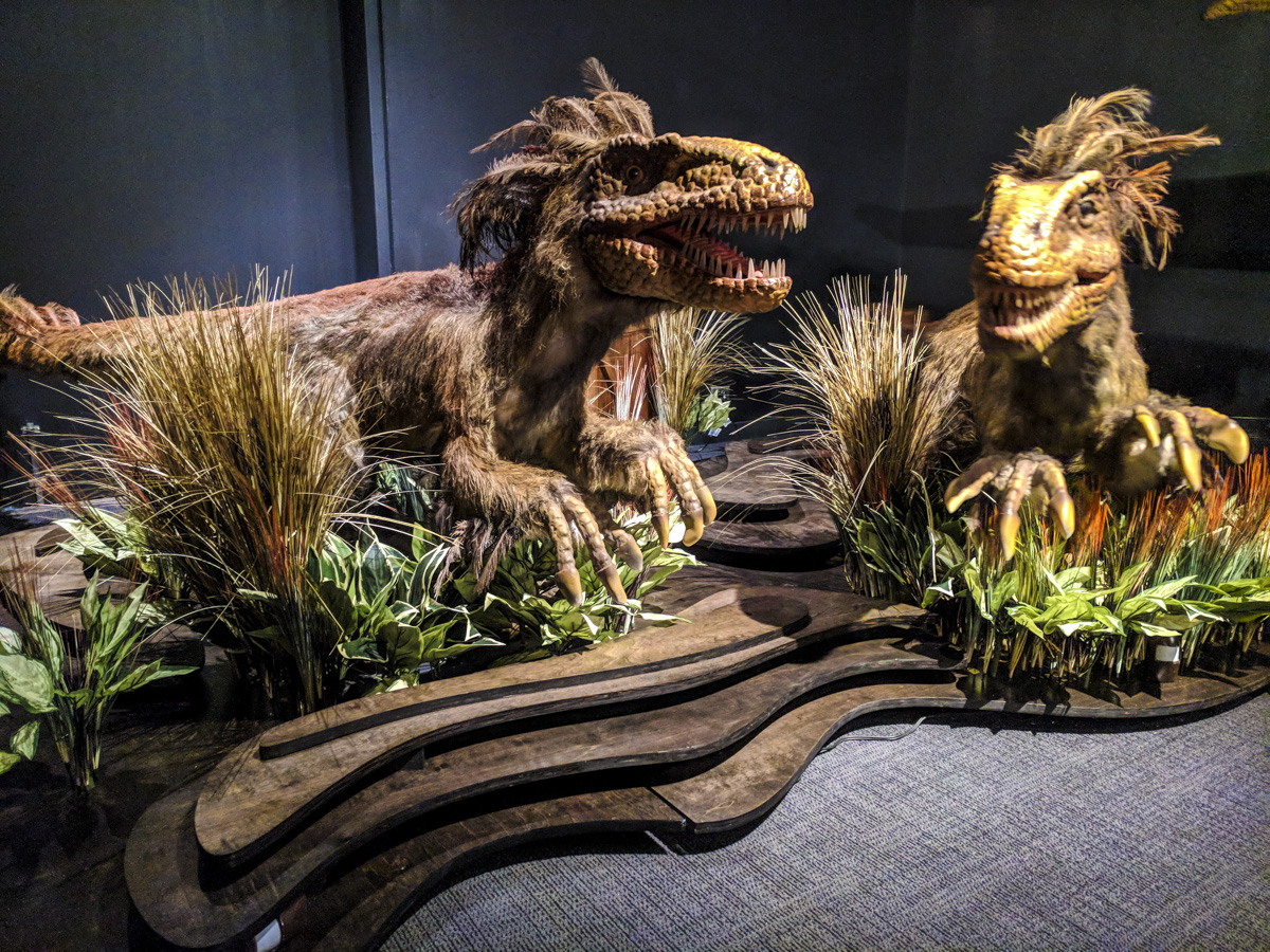 Lifesize, Moving, High-Quality animatronic Dinosaur Indoor Exhibition 