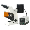 Smart-FL Fluorescence Microscope