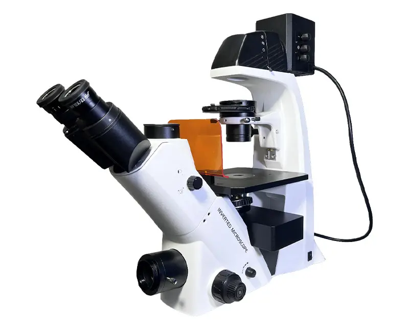 BDS500 Inverted Fluorescence Microscope (1~3 group LED lamp)