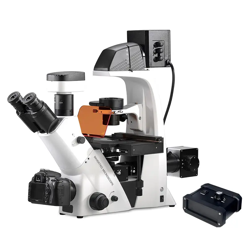 BDS500-FL Fluorescence Microscope
