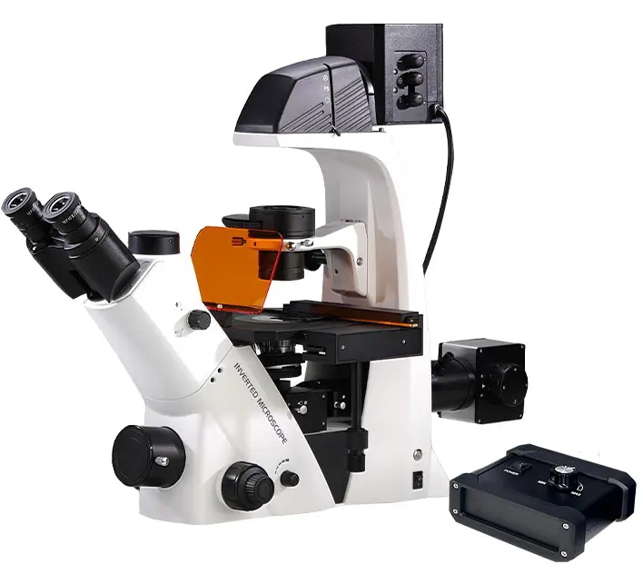 BDS500 Inverted Fluorescence Microscope （LED)