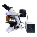 BK5000-FL Fluorescence Microscope