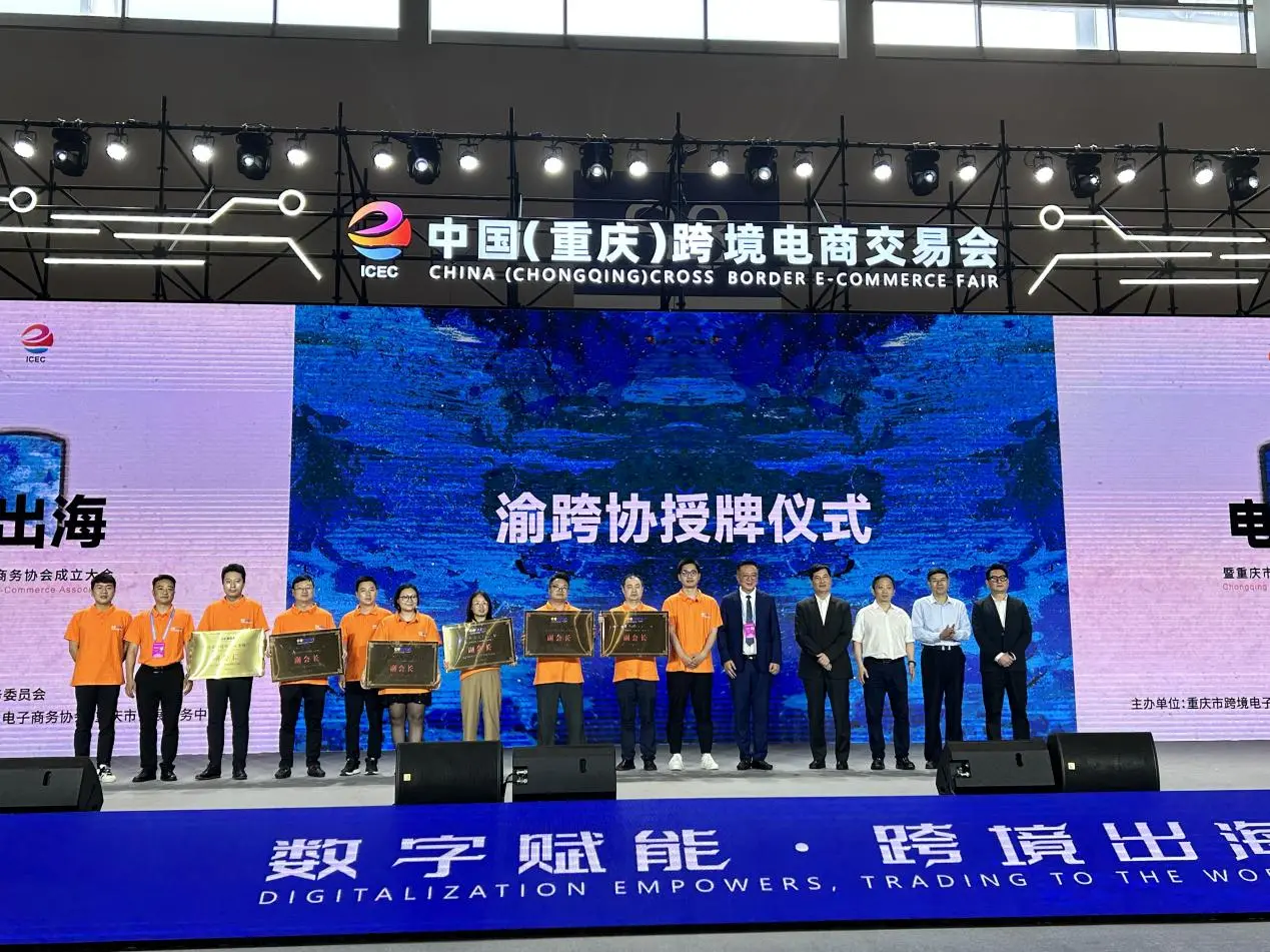 图片3