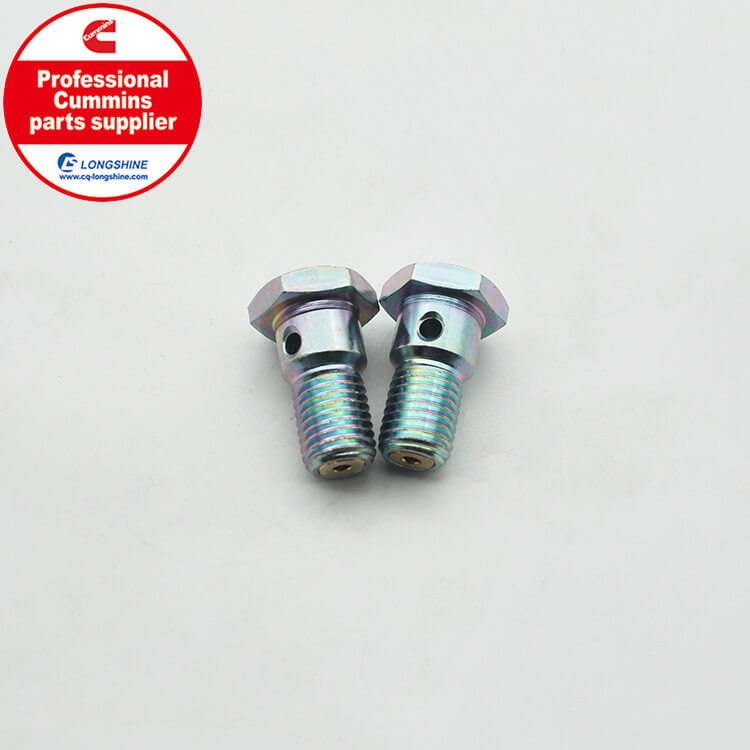 Cummins ISF QSL Injector Return Check Valve 3957290