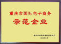 International Electronic Buiness Award