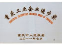 Industrial Progress Award in Chongqing