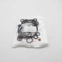 Pump Repair kits For YANMAR X5