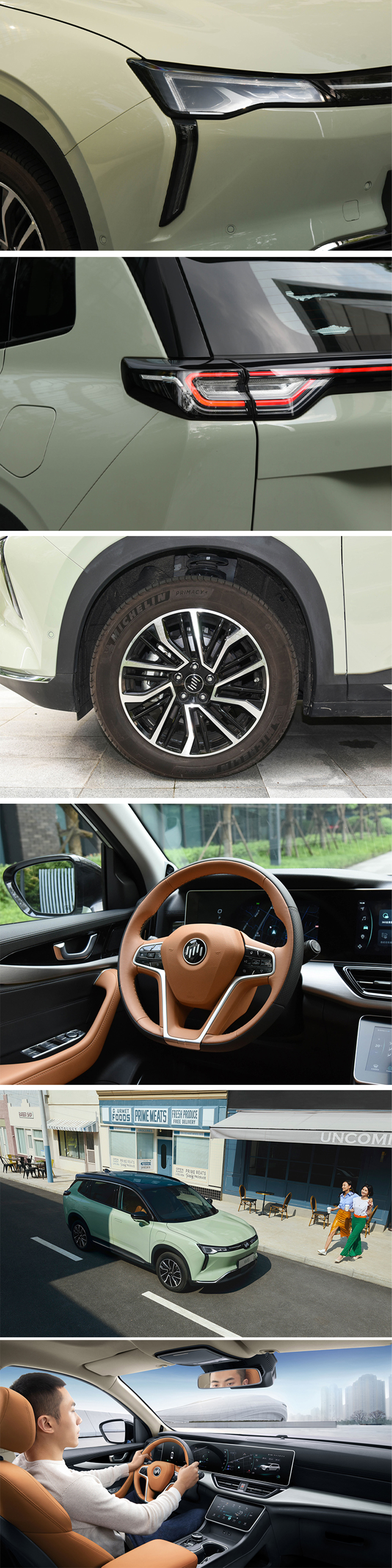 WM Motor W6