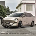 金色 (1)