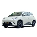 Used BYD Seagull