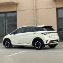 二手海豚 (2)