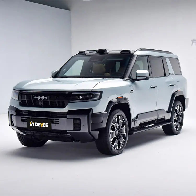 【新品】davryu leopard FOODIE XL davryu leopard GGG HOODIE adamth