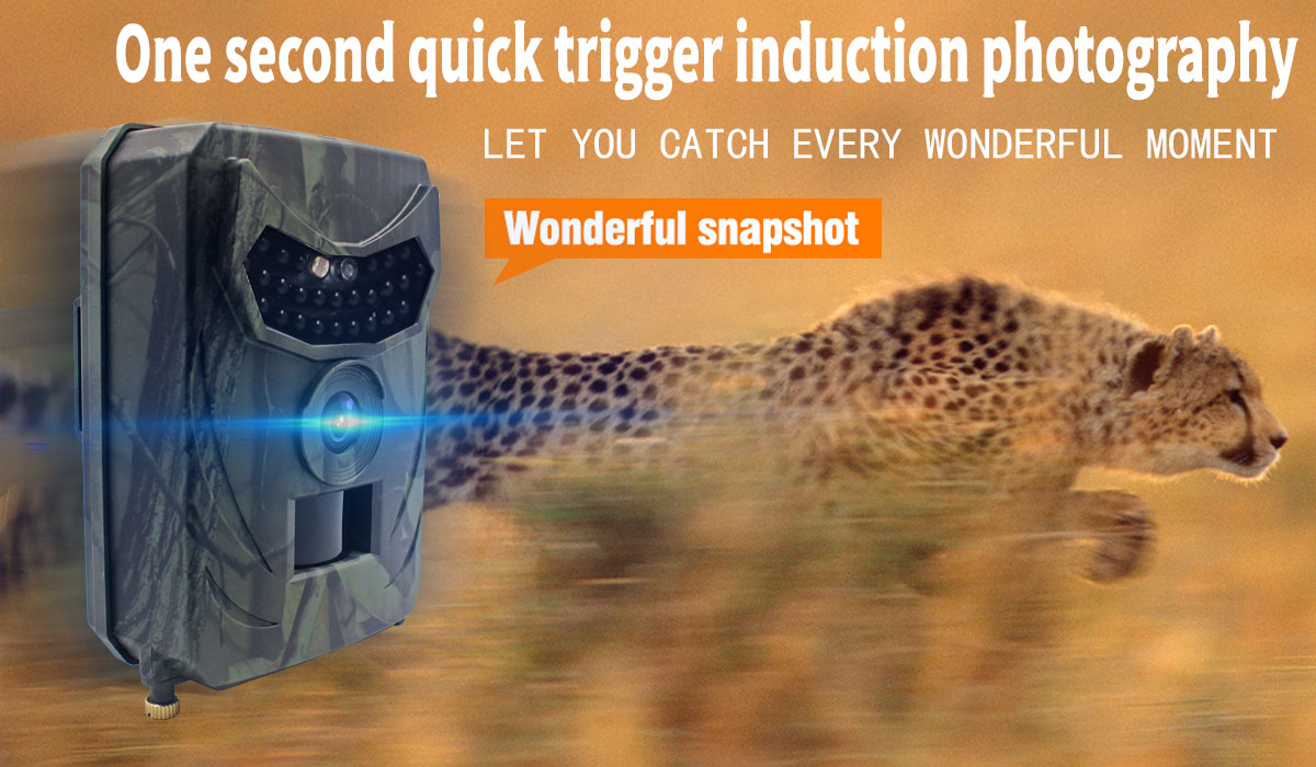 PR100C Hunting Camera