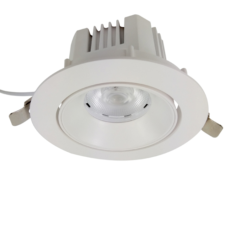 Aluminium Adjustable 110V -130V Or 220-240V COB 20W 30W 35W Led Downlight