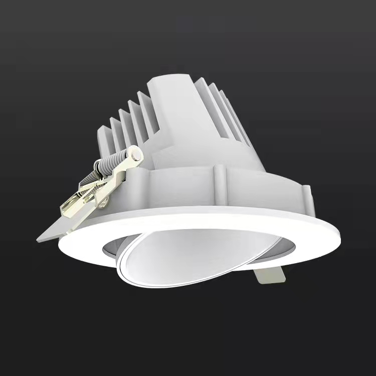 Aluminium Adjustable 110V -130V Or 220-240V COB 20W 30W 35W Led Downlight