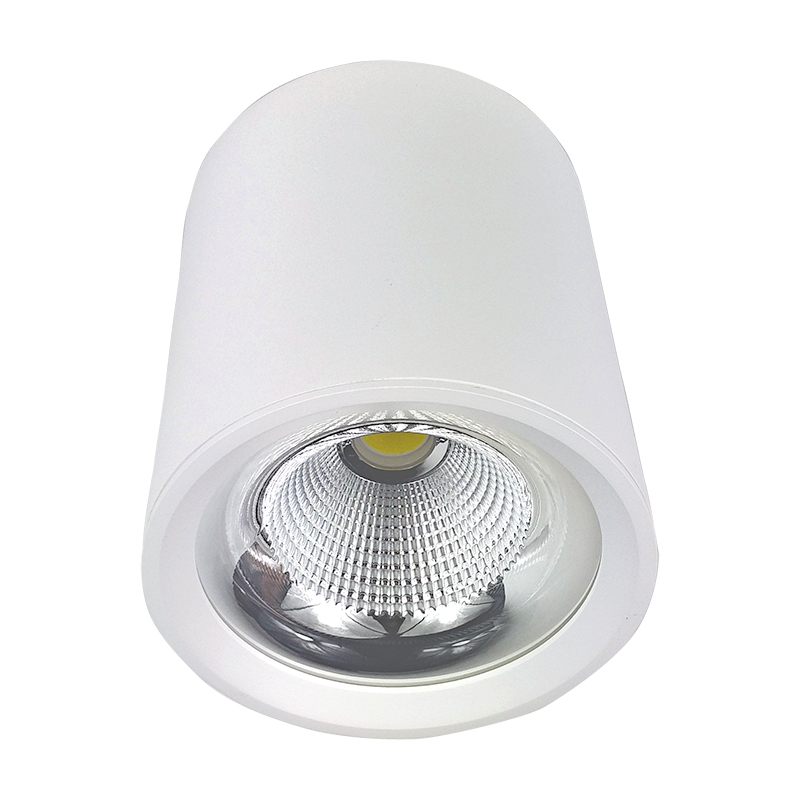 Aluminium 10W 15W 30W 40W 50W Shopping Center Cylinder Aluminum COB LED Surface Mounted Down and Ceiling Light