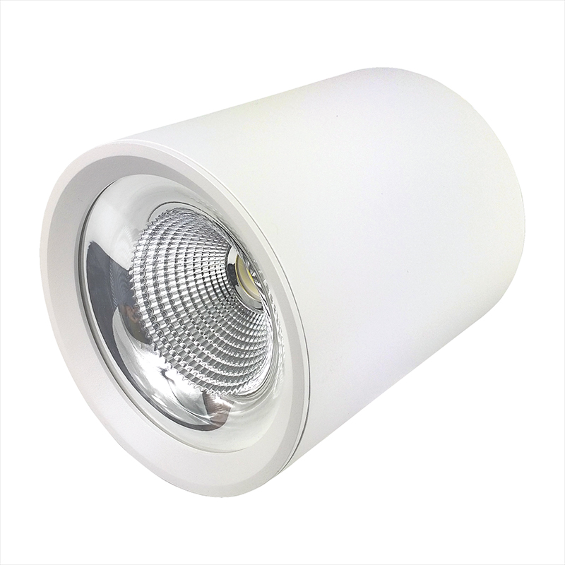 Aluminium 10W 15W 30W 40W 50W Shopping Center Cylinder Aluminum COB LED Surface Mounted Down and Ceiling Light