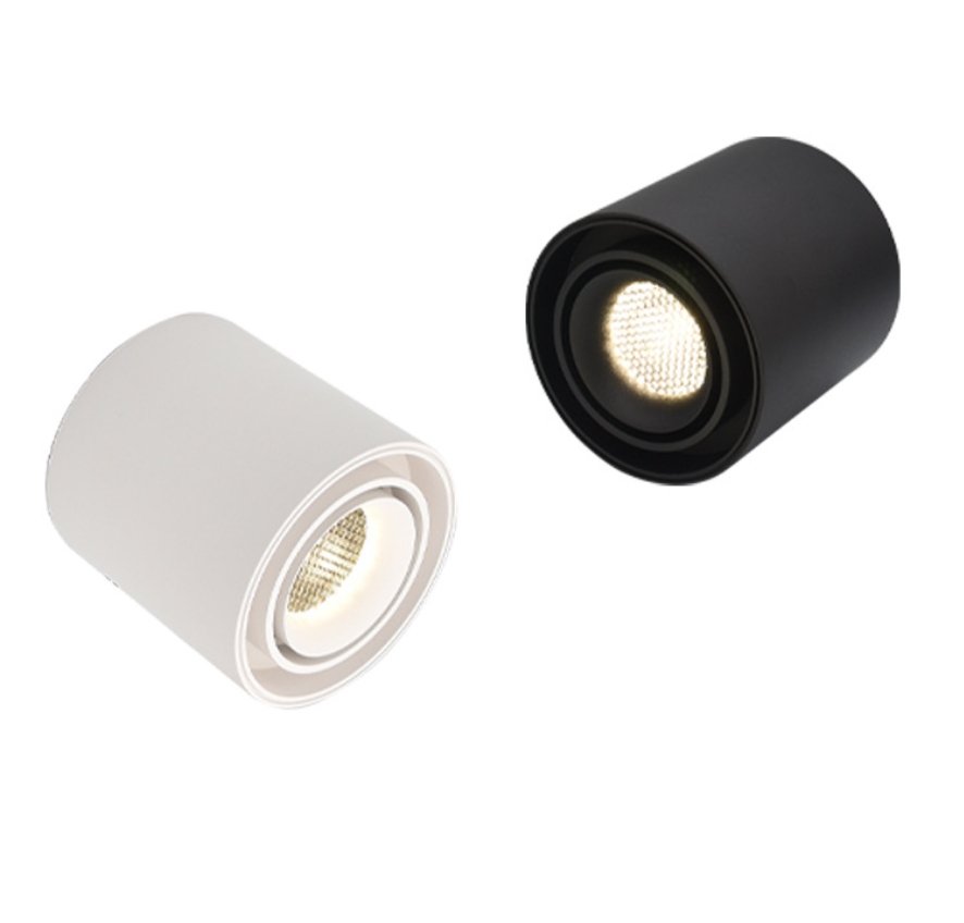 Round Aluminium Diameter 100mm Adjustable 10W LED Surface mounted Downlight
