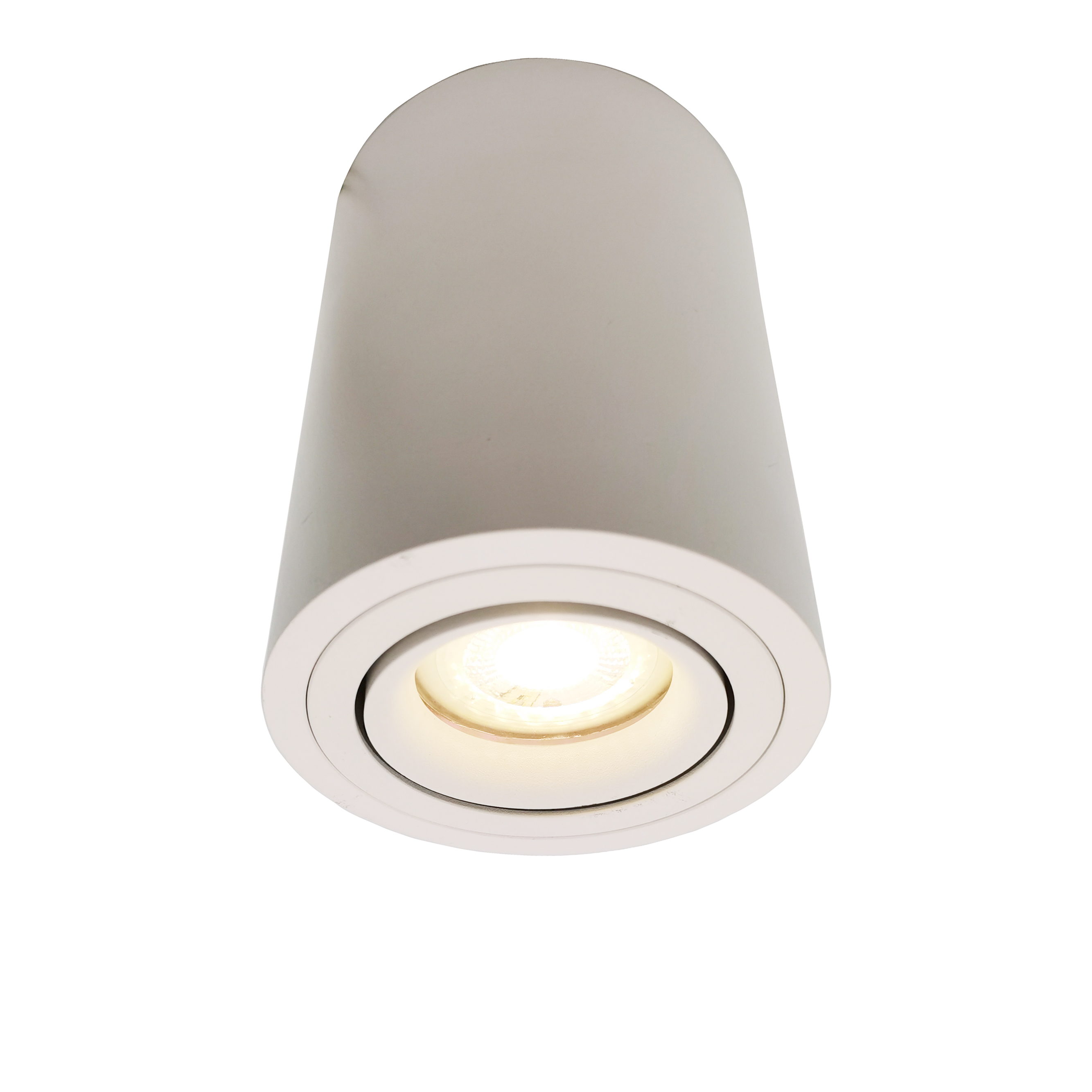 12W Aluminium Round Adjustable CRI90 110V-130V or 220-240V Cylinder Surface Ceiling Downlight