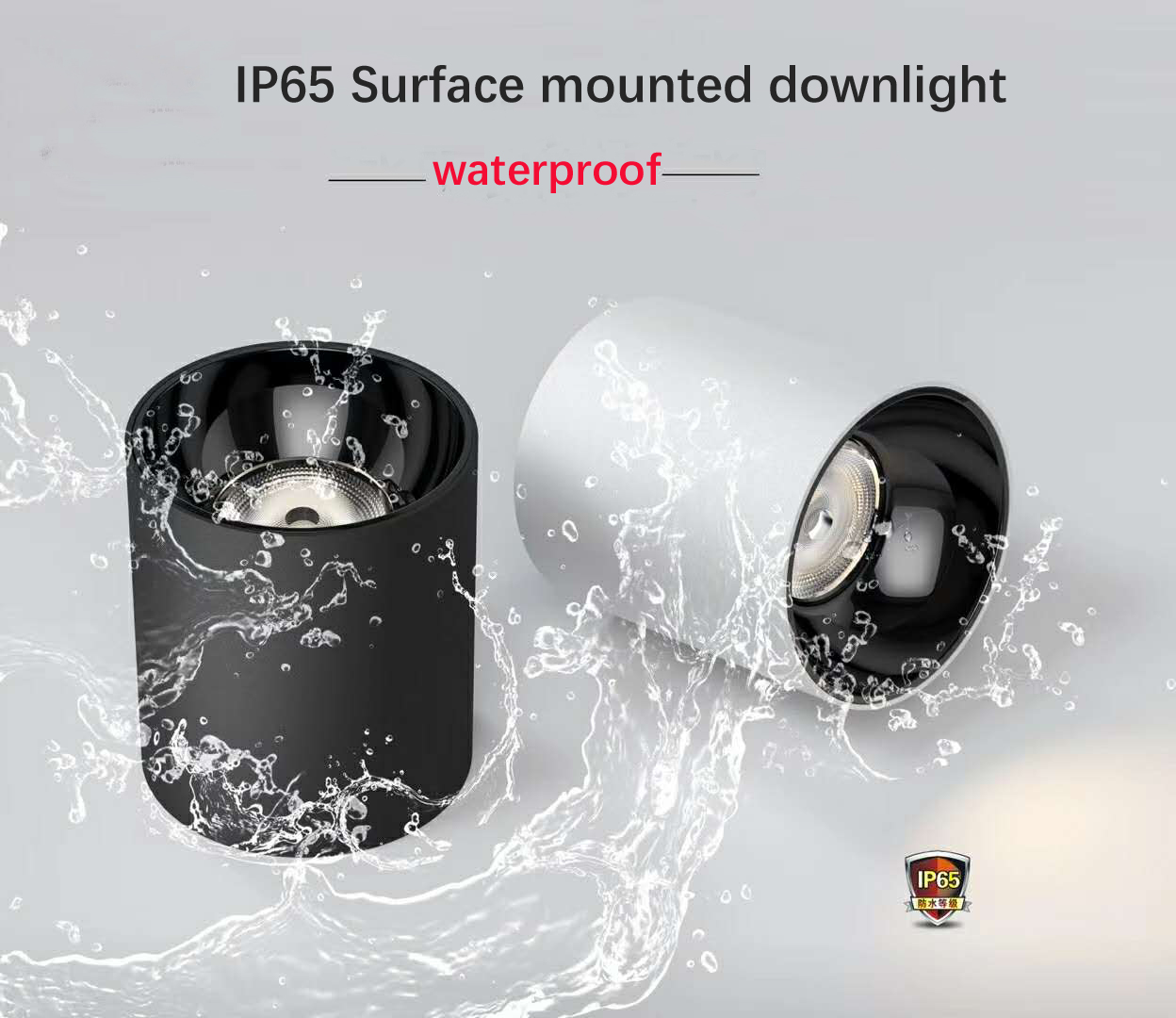 Hot sale Aluminium Alloy Waterproof IP65 Surface mounted downLight