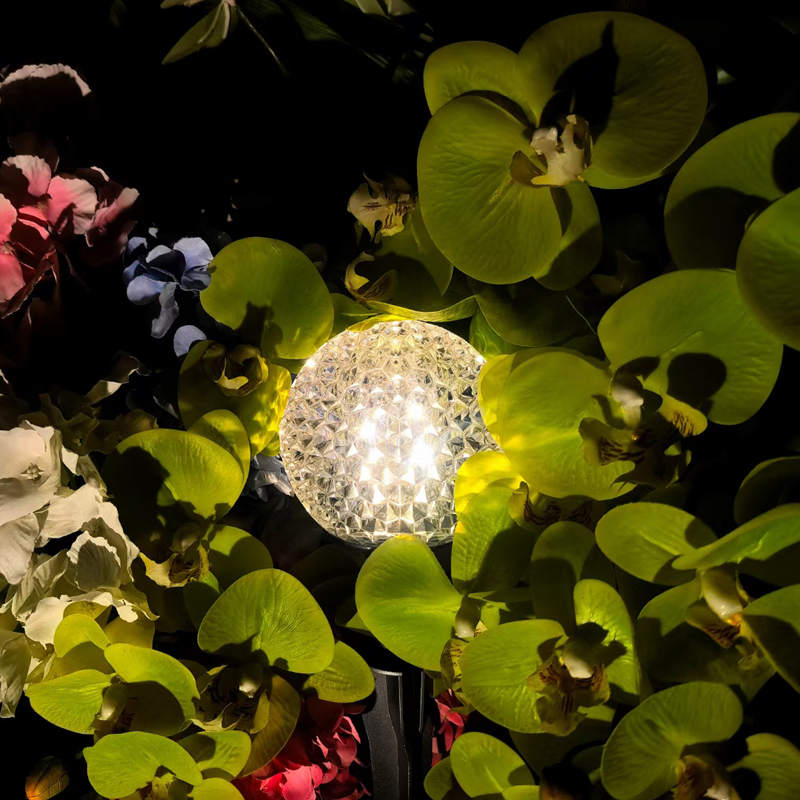 Outdoor Flowers and Plants Lighting Waterproof Crystal LED Lawn Light Flower Border Light