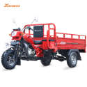 Popular Three Wheel Motorcycle Cargo Tricycle Cheap Gas 3 Wheel Tricycle Cargo Triciclo Cargo 200cc 250cc 300cc Displacement