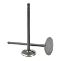 OEM 13711-75110 13715-75100 engine valve intake and exhaust valve for Toyota 2TR Auto car parts