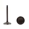 13201-43G01 13202-43G01 High performance parts Auto intake and exhaust Valve For Nissan TD27 TD42