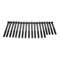 Kit 259050 2L cylinder head bolt kit for Toyota
