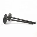 OEM 13711-75110 13715-75100 engine valve intake and exhaust valve for Toyota 2TR Auto car parts