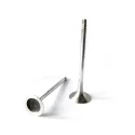 Whosale On Sale Auto Engine Parts 078109601D 078109611C Engine Valve Intake and Exhaust Valve FOR VWAudi ABC