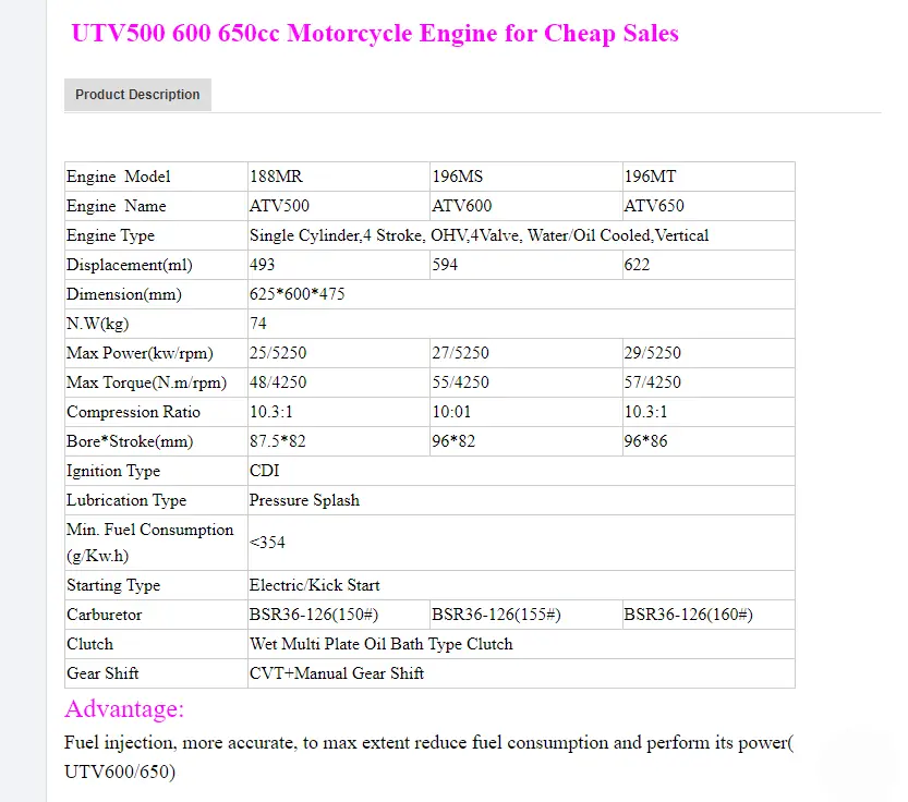 500cc 600cc 650cc Motorcycle Engine for ATV UTV