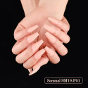 SM19-P01-1