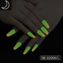 SM19200631夜