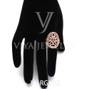 VJ-RGV02(3)