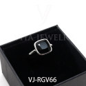 VJ-RGV66(5)