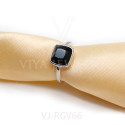 VJ-RGV66(1)