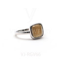 VJ-RGV66(10)