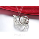 VSSR-01(2)