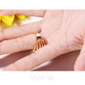 VSSR-06(5)
