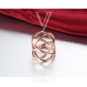 VSSR-13(2)