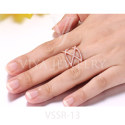 VSSR-13(6)
