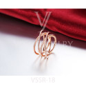 VSSR-18(2)