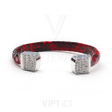 VJPT-C1(1)