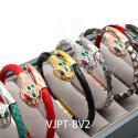 VJPT-BV2(17)