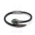 VJST-BV2(3)