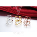 VSSR-02(6)