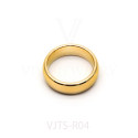 VJTS-R04(2)