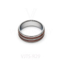 VJTS-R29(2)